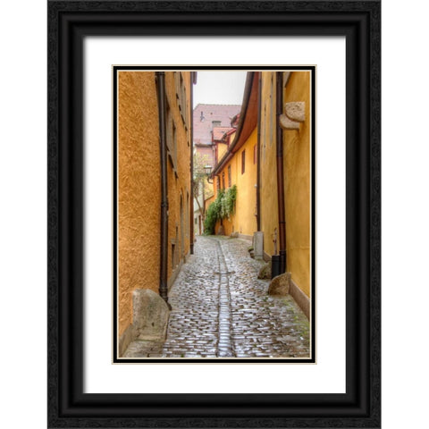 Rothenburg I Black Ornate Wood Framed Art Print with Double Matting by Johnson, George