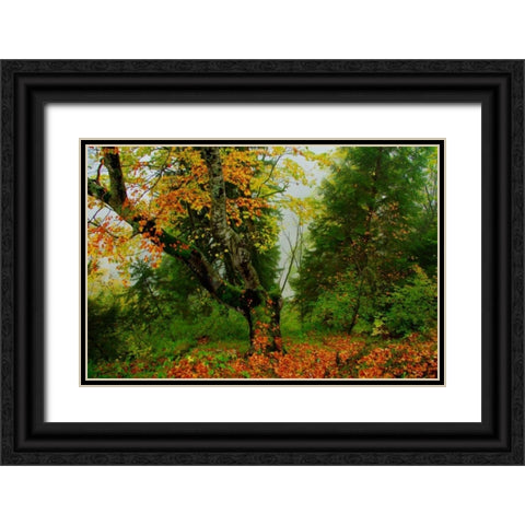 Schloss Hohenschwangau II Black Ornate Wood Framed Art Print with Double Matting by Johnson, George