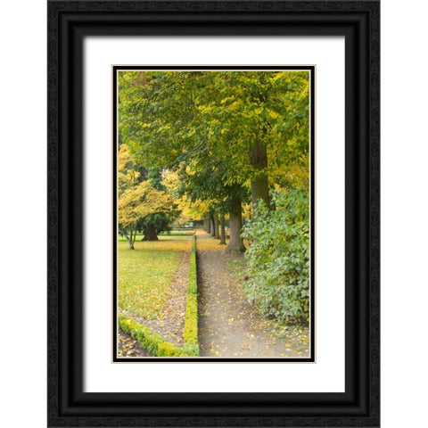 Wurzburg V Black Ornate Wood Framed Art Print with Double Matting by Johnson, George