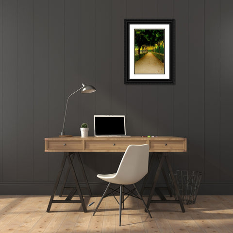 Wurzburg VI Black Ornate Wood Framed Art Print with Double Matting by Johnson, George