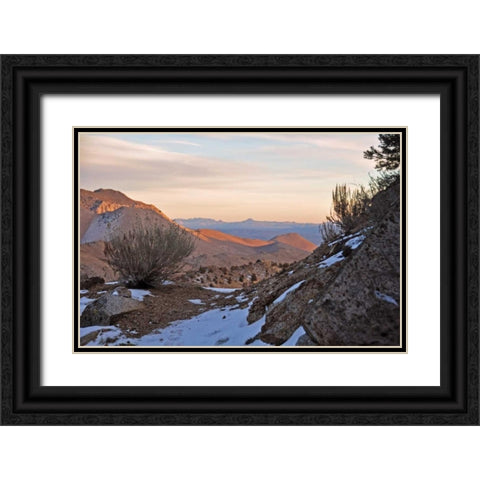 Desert I Black Ornate Wood Framed Art Print with Double Matting by Kidd, Brian