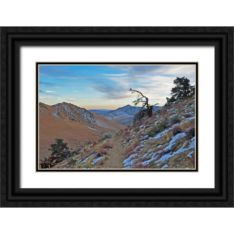 Desert II Black Ornate Wood Framed Art Print with Double Matting by Kidd, Brian