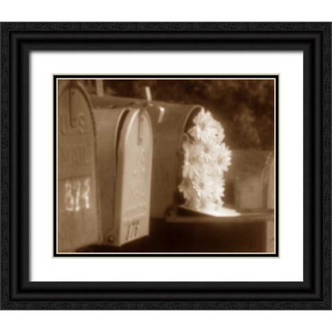 Special Delivery II Black Ornate Wood Framed Art Print with Double Matting by Larson, Scott