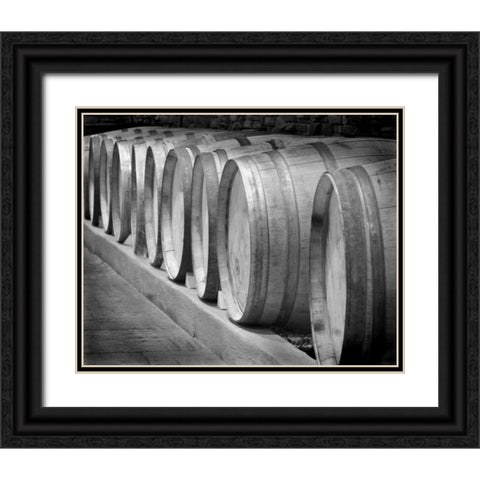 Winery I Black Ornate Wood Framed Art Print with Double Matting by Larson, Scott