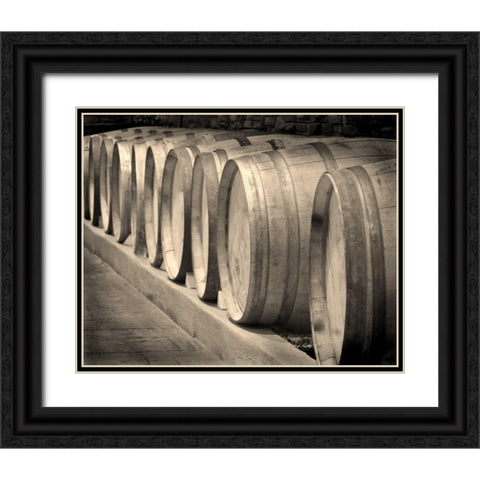 Winery II Black Ornate Wood Framed Art Print with Double Matting by Larson, Scott