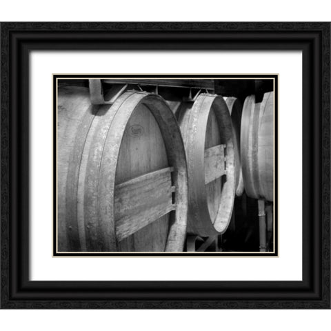 Winery IV Black Ornate Wood Framed Art Print with Double Matting by Larson, Scott