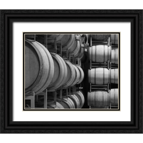 Winery VIII Black Ornate Wood Framed Art Print with Double Matting by Larson, Scott