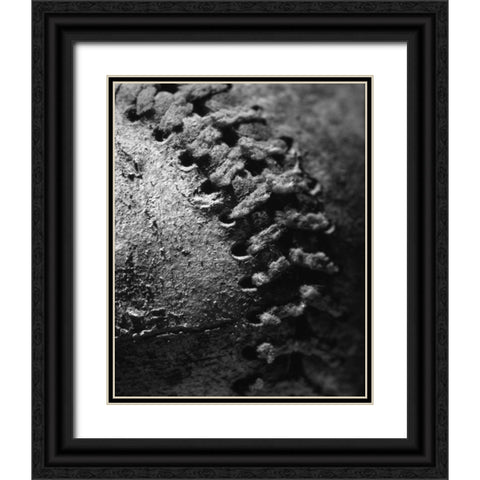 Summer Ball I Black Ornate Wood Framed Art Print with Double Matting by Larson, Scott