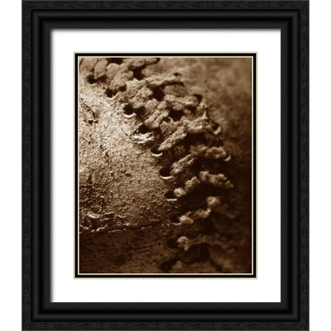 Summer Ball II Black Ornate Wood Framed Art Print with Double Matting by Larson, Scott
