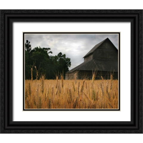 Harvest Time I Black Ornate Wood Framed Art Print with Double Matting by Larson, Scott
