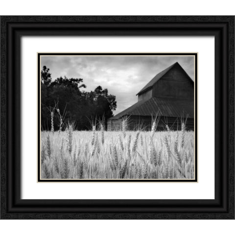 Harvest Time II Black Ornate Wood Framed Art Print with Double Matting by Larson, Scott