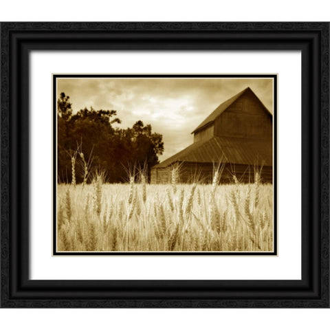 Harvest Time III Black Ornate Wood Framed Art Print with Double Matting by Larson, Scott