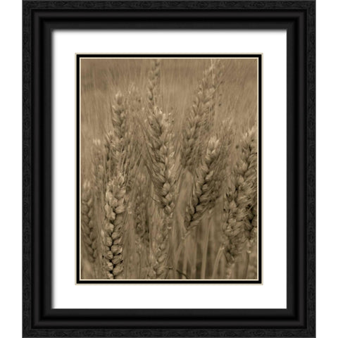 Turning Grain V Black Ornate Wood Framed Art Print with Double Matting by Larson, Scott