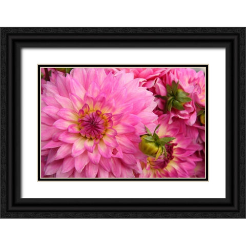 Spring Garden II Black Ornate Wood Framed Art Print with Double Matting by Love, Maureen