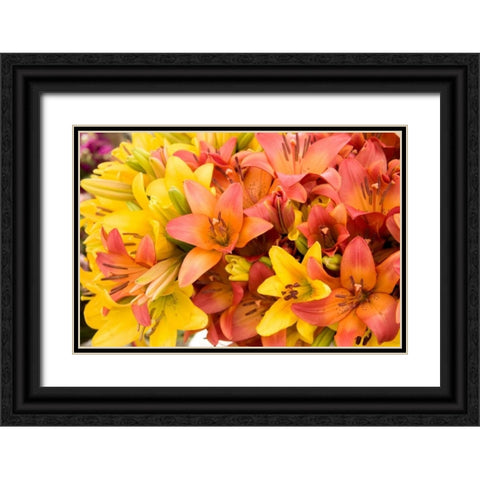 Sunny Lily I Black Ornate Wood Framed Art Print with Double Matting by Love, Maureen
