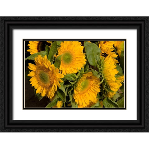 Sunflower I Black Ornate Wood Framed Art Print with Double Matting by Love, Maureen