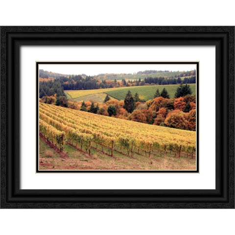 Fall in Wine Country I Black Ornate Wood Framed Art Print with Double Matting by Love, Maureen