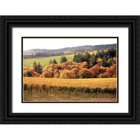 Fall in Wine Country I Black Ornate Wood Framed Art Print with Double Matting by Love, Maureen