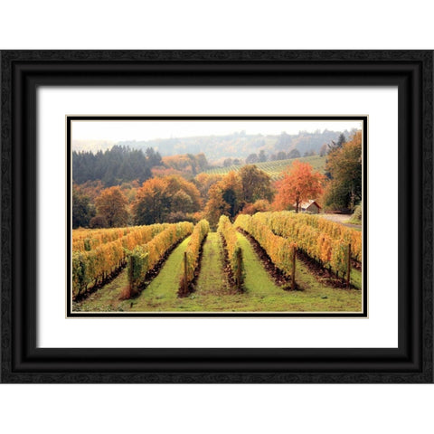Bella Vida I Black Ornate Wood Framed Art Print with Double Matting by Love, Maureen