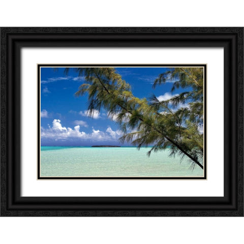 Sandbar Pelican Cay Black Ornate Wood Framed Art Print with Double Matting by Malvin, Larry