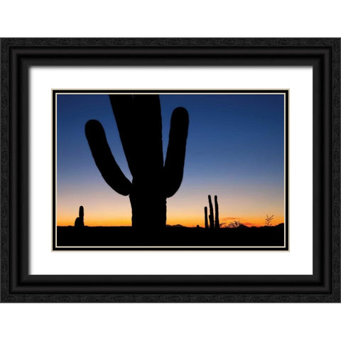 Clear Saguaro Sunset I Black Ornate Wood Framed Art Print with Double Matting by Malvin, Larry