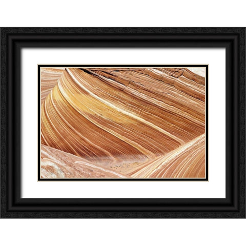 Wave Closeup Black Ornate Wood Framed Art Print with Double Matting by Malvin, Larry
