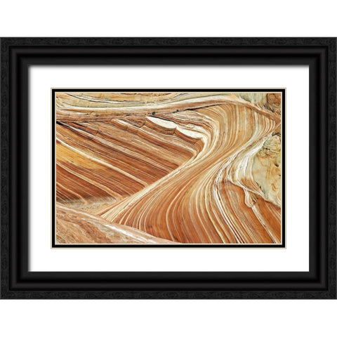 Wave Swirls Black Ornate Wood Framed Art Print with Double Matting by Malvin, Larry