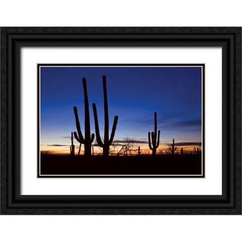 Classic Saguaro Sunset II Black Ornate Wood Framed Art Print with Double Matting by Malvin, Larry