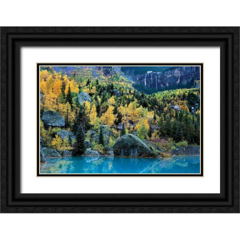 Bridal Veil I Black Ornate Wood Framed Art Print with Double Matting by Malvin, Larry