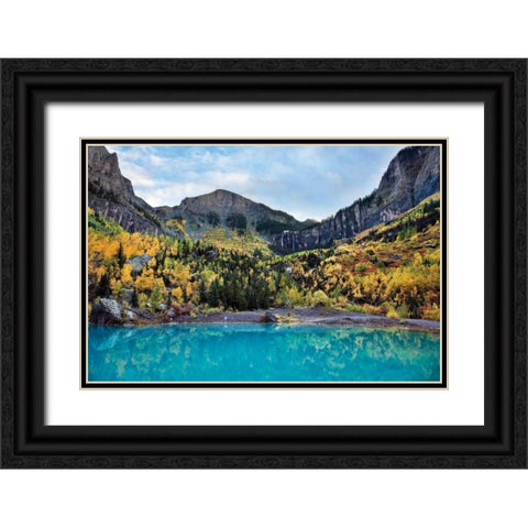 Bridal Veil II Black Ornate Wood Framed Art Print with Double Matting by Malvin, Larry