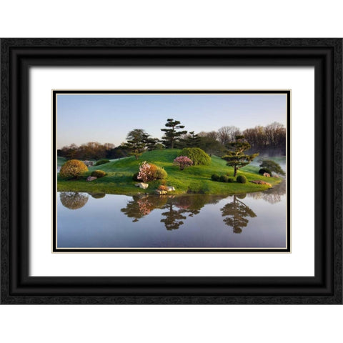 Botanic Dawn I Black Ornate Wood Framed Art Print with Double Matting by Malvin, Larry