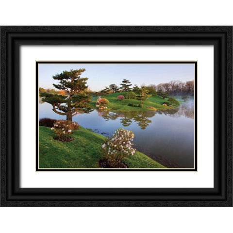 Botanic Dawn II Black Ornate Wood Framed Art Print with Double Matting by Malvin, Larry