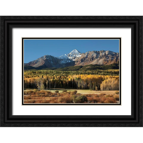 Wilson Peak Yellow Aspens Black Ornate Wood Framed Art Print with Double Matting by Malvin, Larry