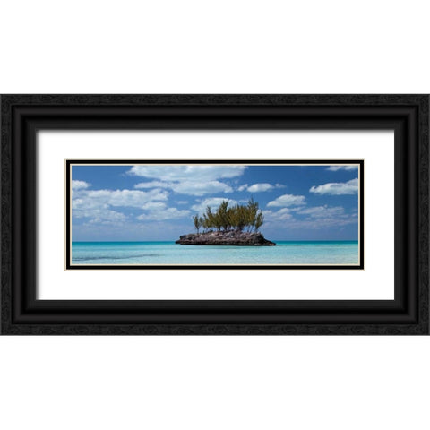 Gaulding Cay Conch Panel Black Ornate Wood Framed Art Print with Double Matting by Malvin, Larry