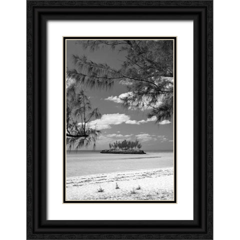 Gaulding Cay Island BW Black Ornate Wood Framed Art Print with Double Matting by Malvin, Larry