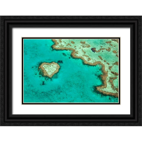 Great Barrier Reef II Black Ornate Wood Framed Art Print with Double Matting by Malvin, Larry