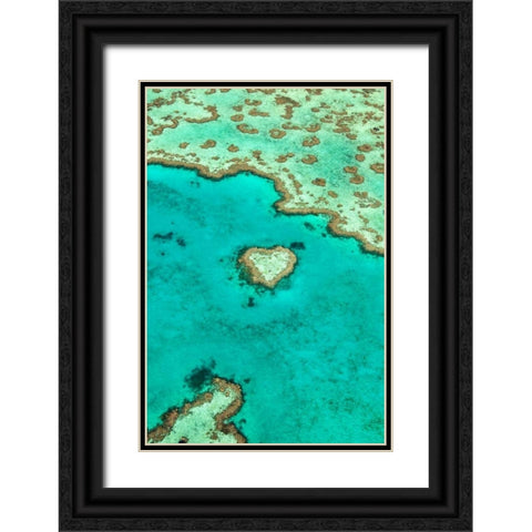 Heart Reef I Black Ornate Wood Framed Art Print with Double Matting by Malvin, Larry