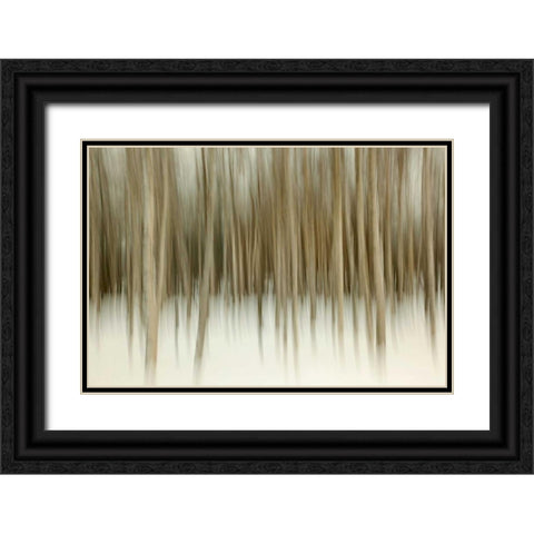 Birch Blur II Black Ornate Wood Framed Art Print with Double Matting by Malvin, Larry