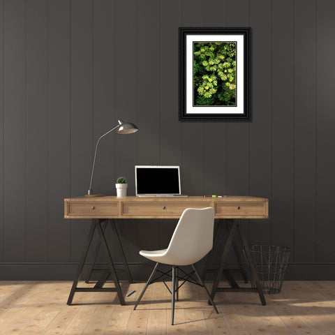 Cloud Forest Foliage II Black Ornate Wood Framed Art Print with Double Matting by Malvin, Larry