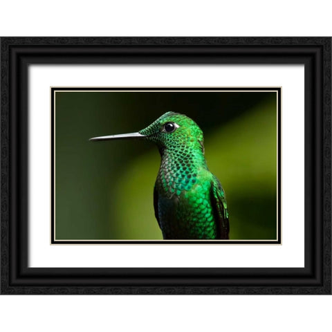 Steely Vented Black Ornate Wood Framed Art Print with Double Matting by Malvin, Larry