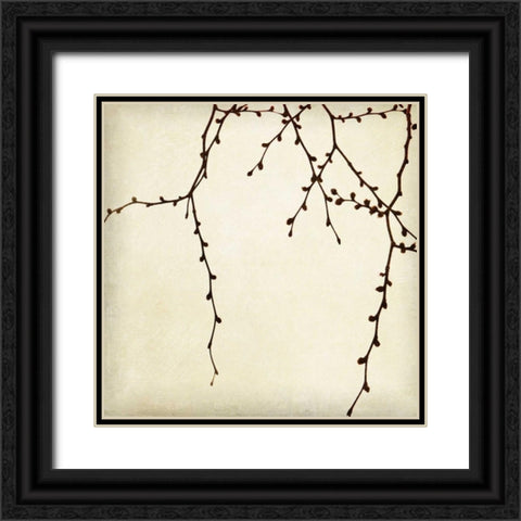 Branches II Black Ornate Wood Framed Art Print with Double Matting by Melious, Amy