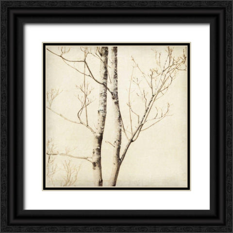 Winter Trees II Black Ornate Wood Framed Art Print with Double Matting by Melious, Amy