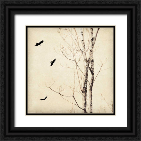 In Flight II Black Ornate Wood Framed Art Print with Double Matting by Melious, Amy