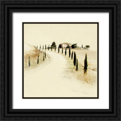 Tuscan Villa II Black Ornate Wood Framed Art Print with Double Matting by Melious, Amy