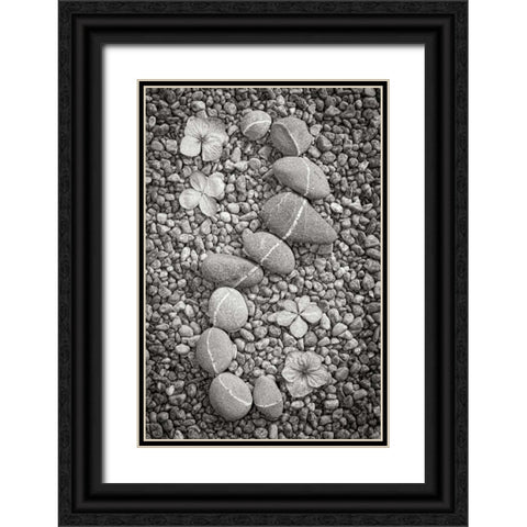 Curving Rocks I Black Ornate Wood Framed Art Print with Double Matting by Mahan, Kathy