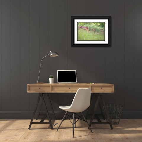 Old Tractor II Black Ornate Wood Framed Art Print with Double Matting by Mahan, Kathy