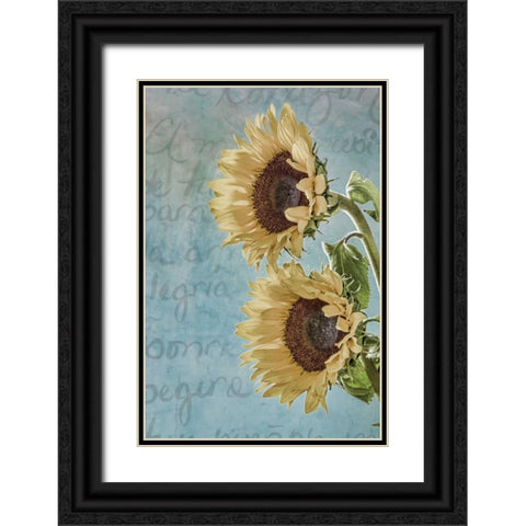 Sunflowers II Black Ornate Wood Framed Art Print with Double Matting by Mahan, Kathy