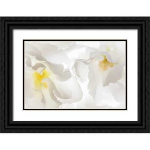 Cherry Blossoms II Black Ornate Wood Framed Art Print with Double Matting by Mahan, Kathy