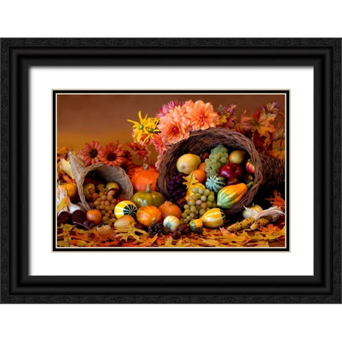 Cornucopia II Black Ornate Wood Framed Art Print with Double Matting by Mahan, Kathy
