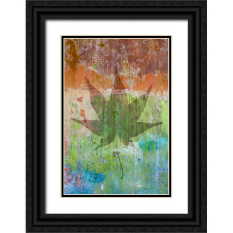 Maple Leaf I Black Ornate Wood Framed Art Print with Double Matting by Mahan, Kathy
